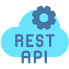 REST APIs